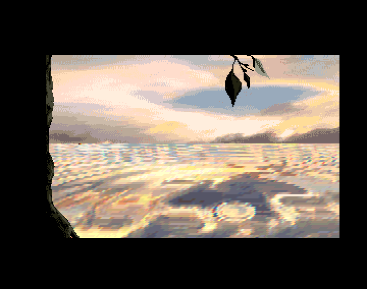 11.png